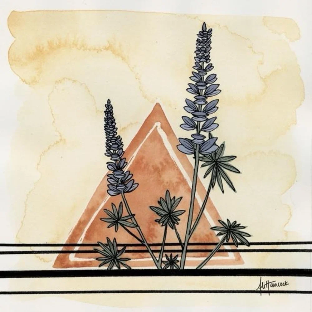 Whiskey Jack Designs Set of 3 Paintings 12x12 Castilleja Lupine Balsamroot